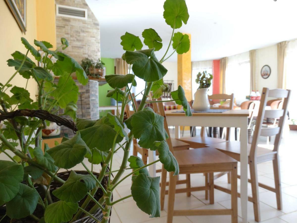 Guest House Misha Petrevene Екстер'єр фото